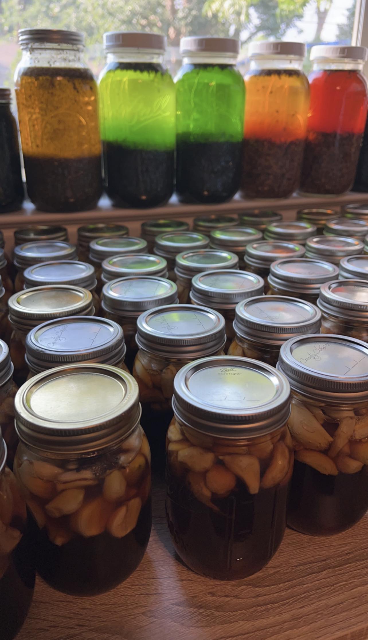 PRE ORDER Fermented Garlic & Honey (Flu, Cold, Immunity) SHIPS MAY 2025