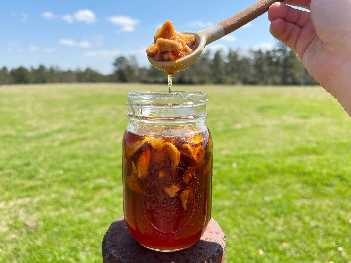 PRE ORDER Fermented Garlic & Honey (Flu, Cold, Immunity) SHIPS MAY 2025
