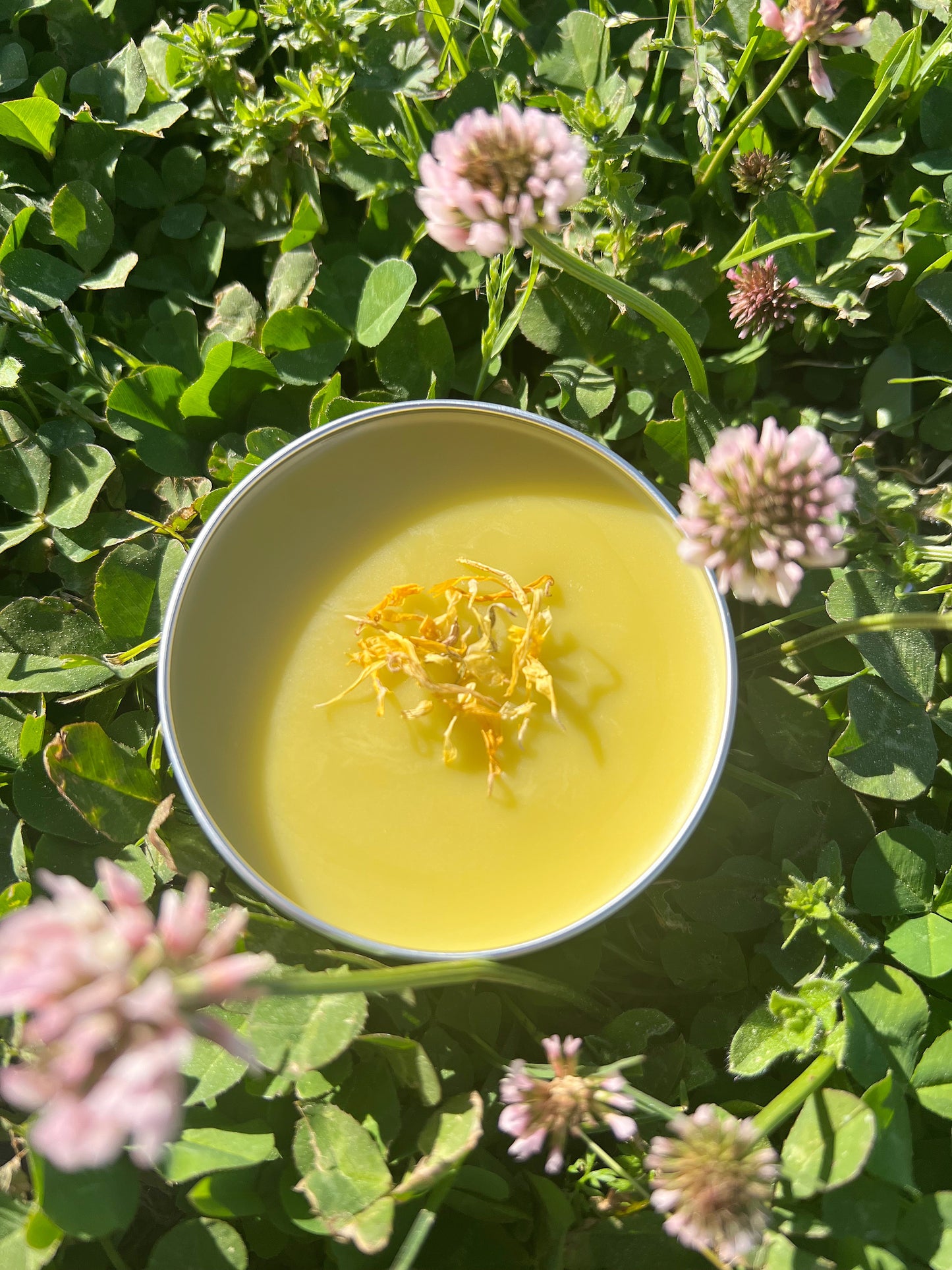 Healing Salve (First aid ointment) Cuts-bites-dry skin-rash-ulcers-pimples