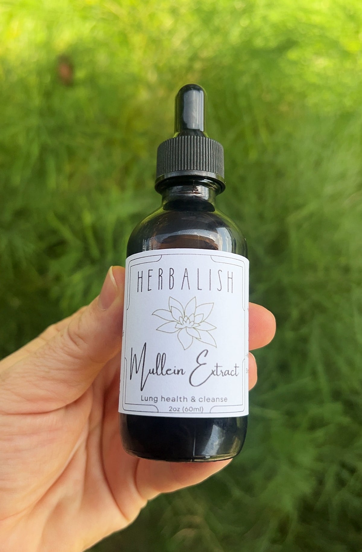 Mullein Extract (Lung health & cleanse)