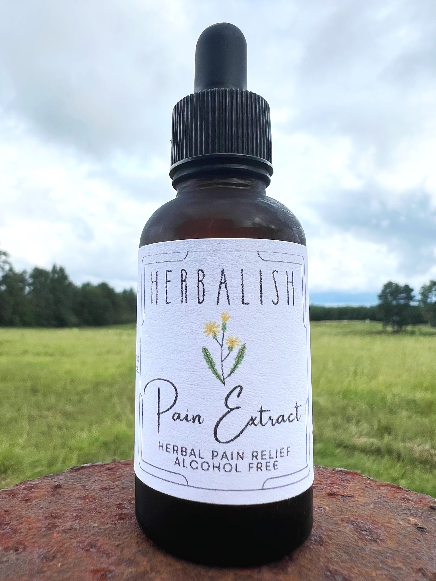Pain Extract ALCOHOL FREE (Herbal Pain Remedy Extraction)
