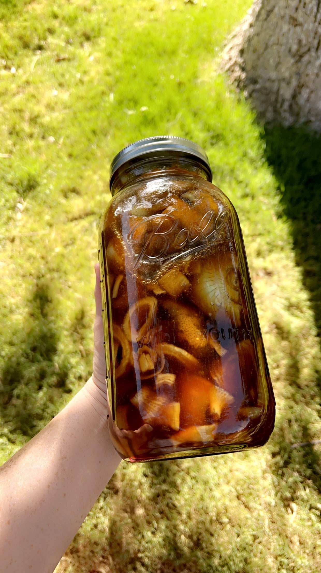 Cough Decongestant Syrup (Cough, Congestion, RSV, Throat, Lung Health)