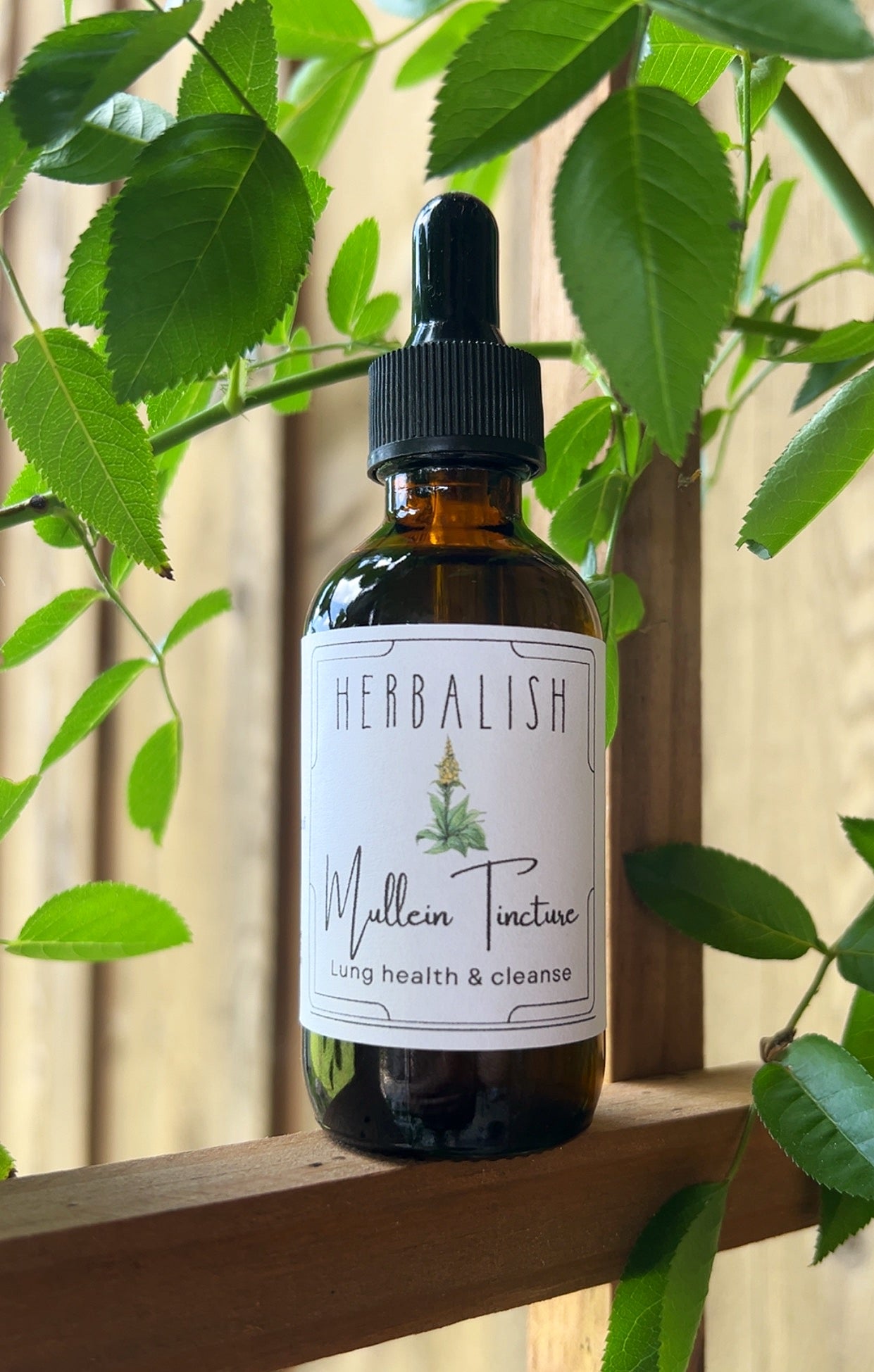 Mullein Tincture (Lung health & cleanse)