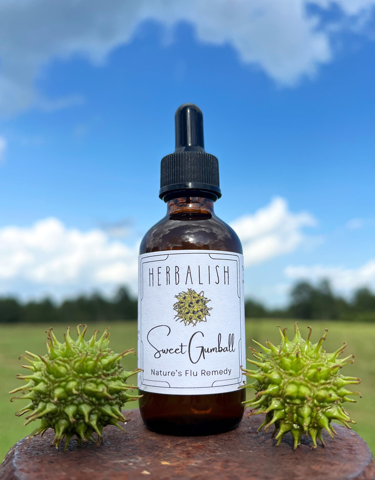 Sweet Gumball Tincture (Nature's Flu Remedy)