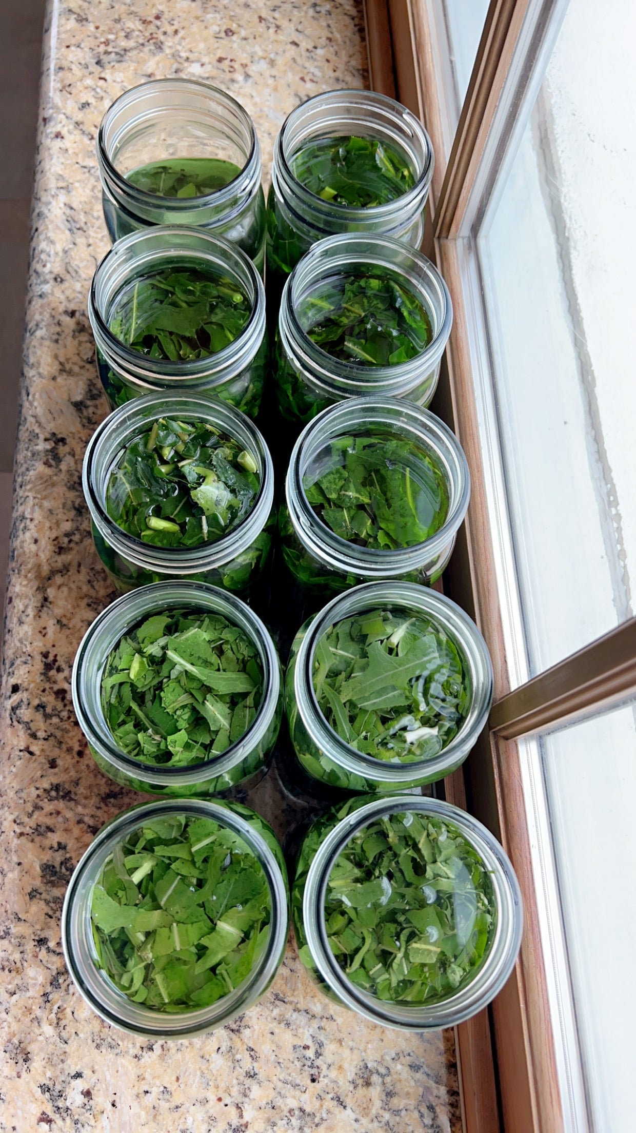 Pain Away (Herbal Pain & Anxiety Remedy Tincture)