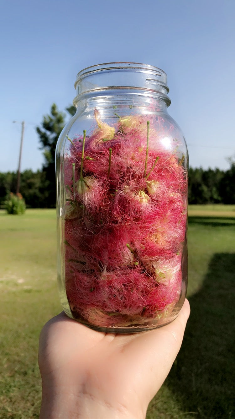 Mimosa Tincture (Anxiety-Depression- PTSD-Grief, Stuck emotions)