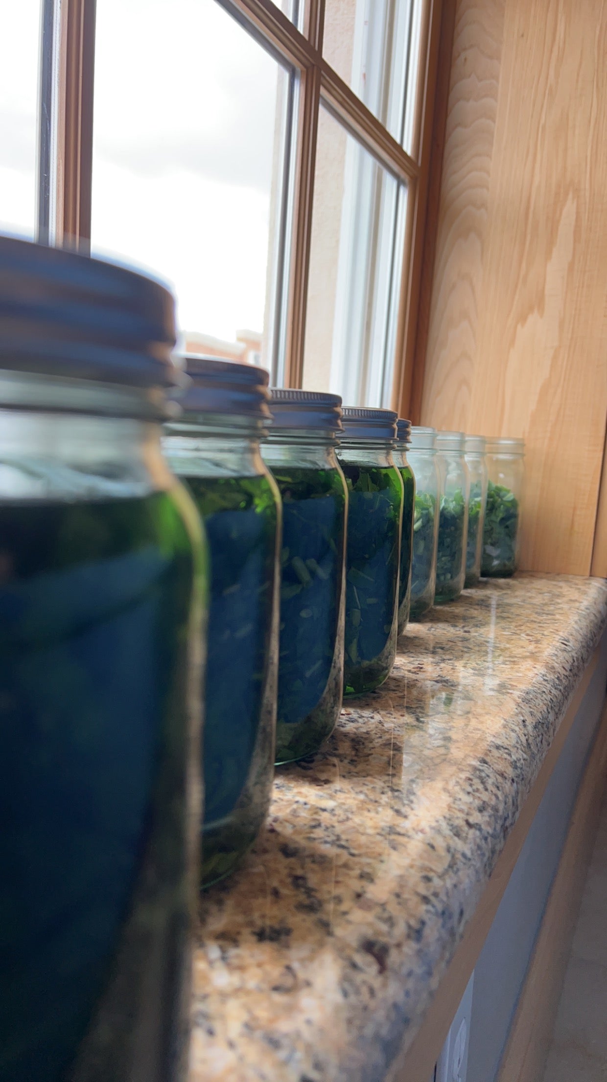 Pain Away (Herbal Pain & Anxiety Remedy Tincture)