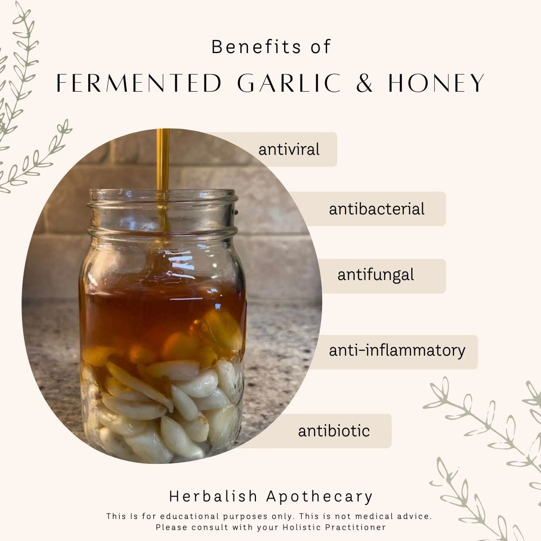 PRE ORDER Fermented Garlic & Honey (Flu, Cold, Immunity) SHIPS MAY 2025