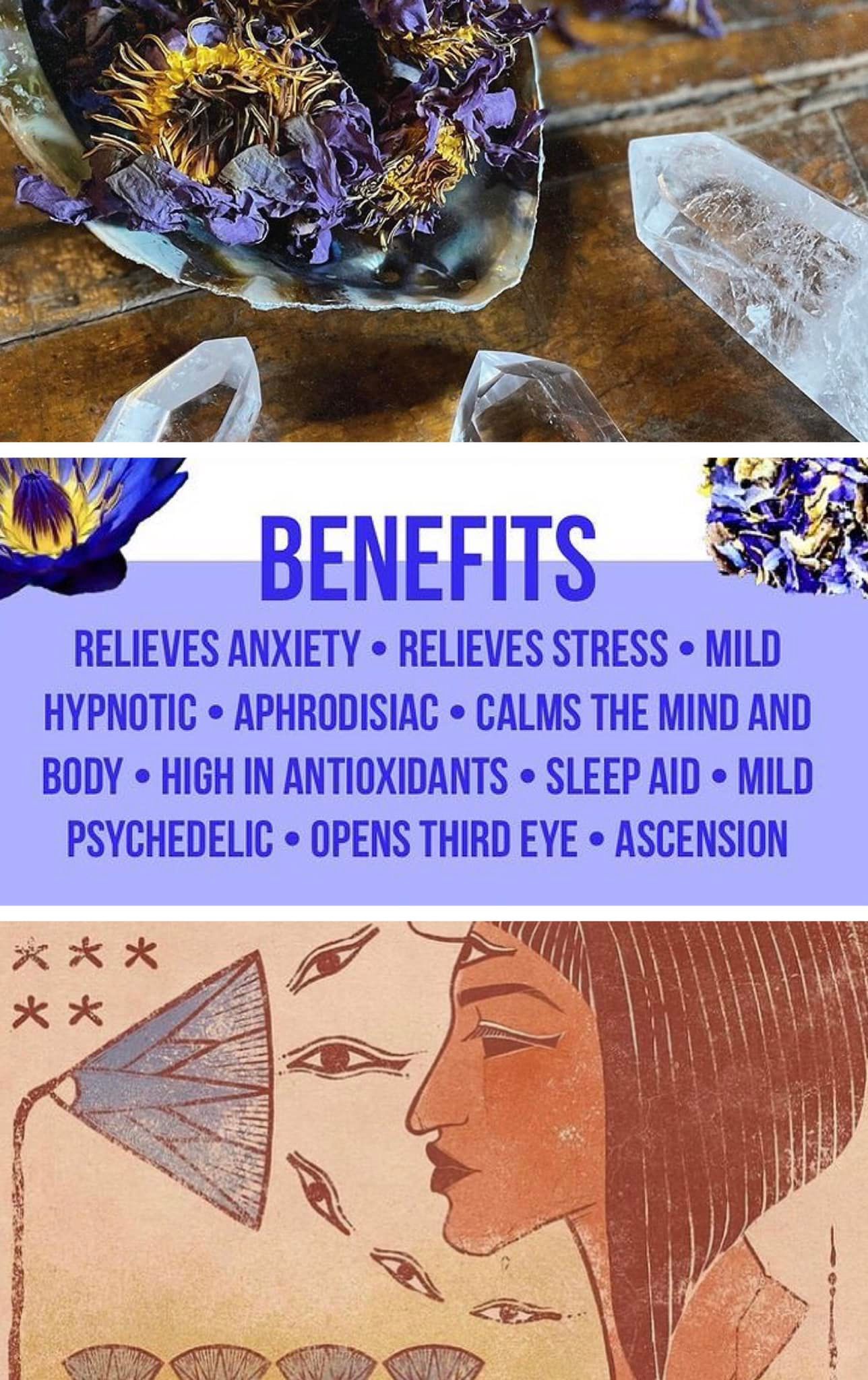 Dream Tincture- (Sleep-Libido-Anxiety) Formally Euphoria