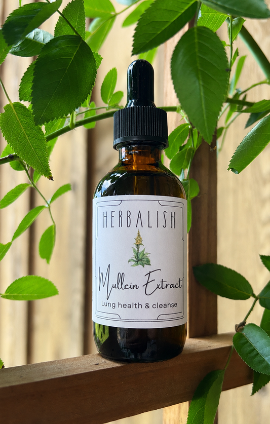 Mullein Extract (Lung health & cleanse)