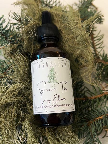 Spruce Tip Elixer (Cough, Congestion, Throat, Lung Health, Immunity) LIMITED EDITION