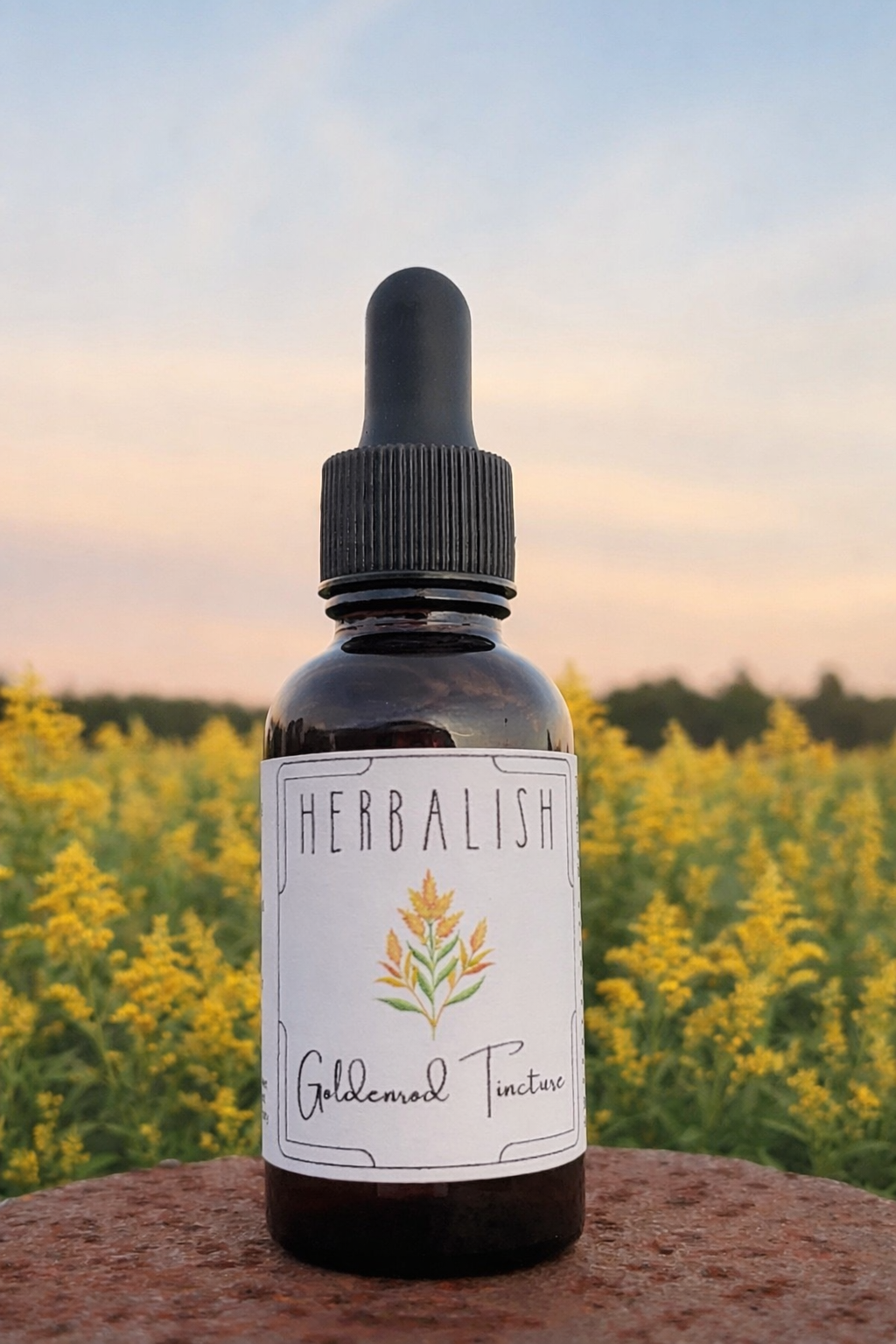 Goldenrod Tincture (Allergy/Sinus, Inflammation, Gout, UTI) LIMITED EDITION