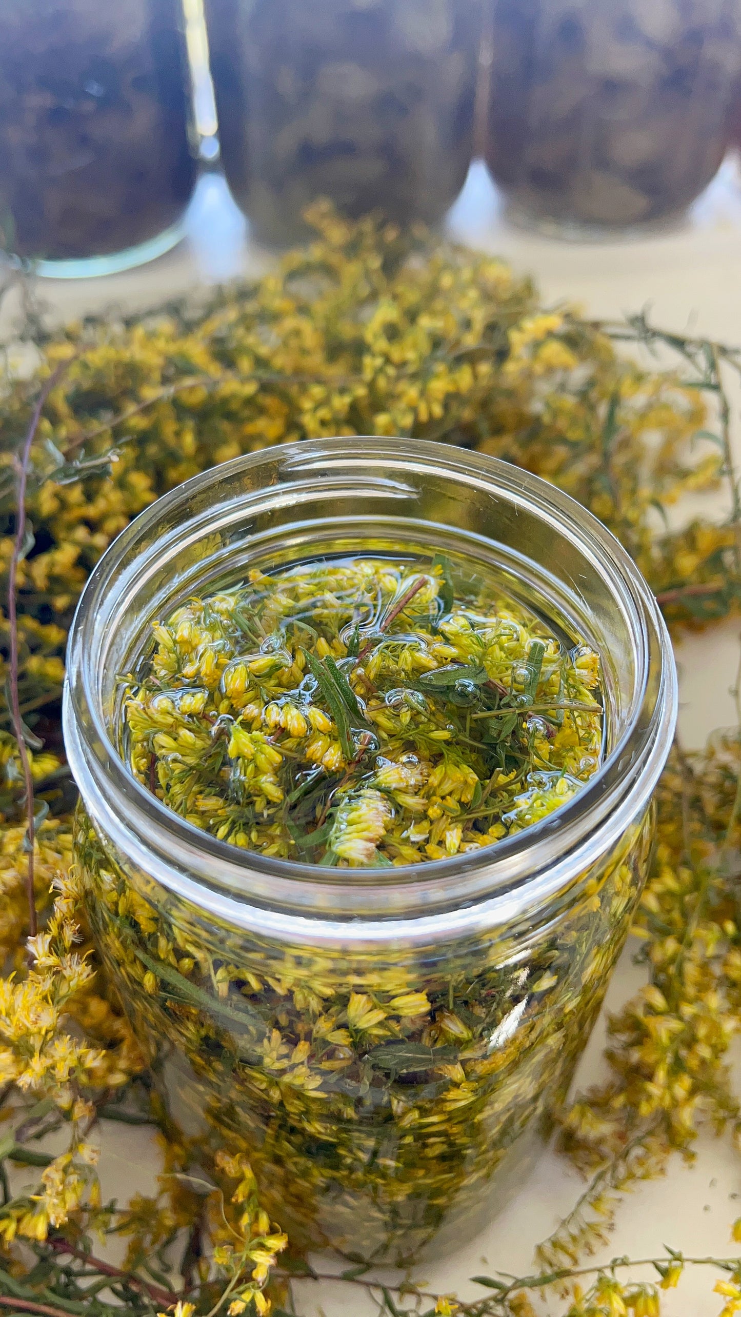 Goldenrod Tincture (Allergy/Sinus, Inflammation, Gout, UTI) LIMITED EDITION