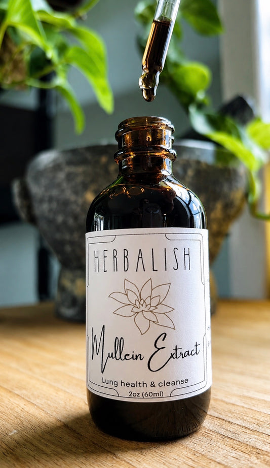Mullein Extract (Lung health & cleanse)