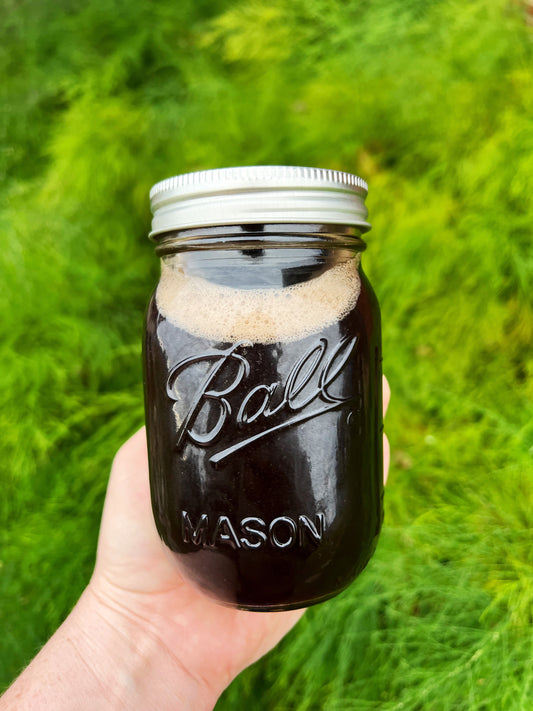 PRE-ORDER Honey Free Elderberry Syrup (DECEMBER)