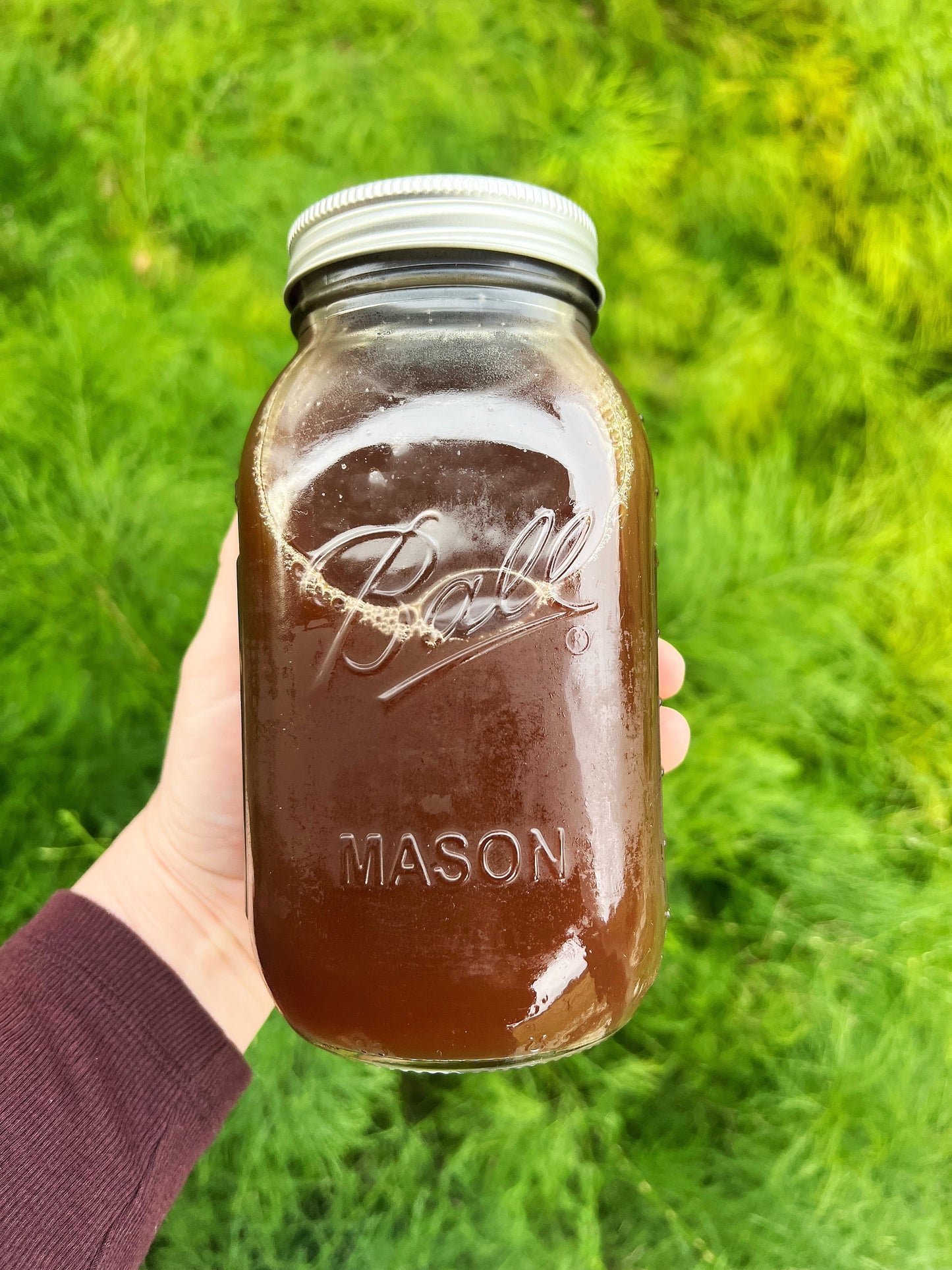 ImmuniTEA (Allergy-Sinus-Cold-Fever-Flu-Lungs-Throat-Immunity)