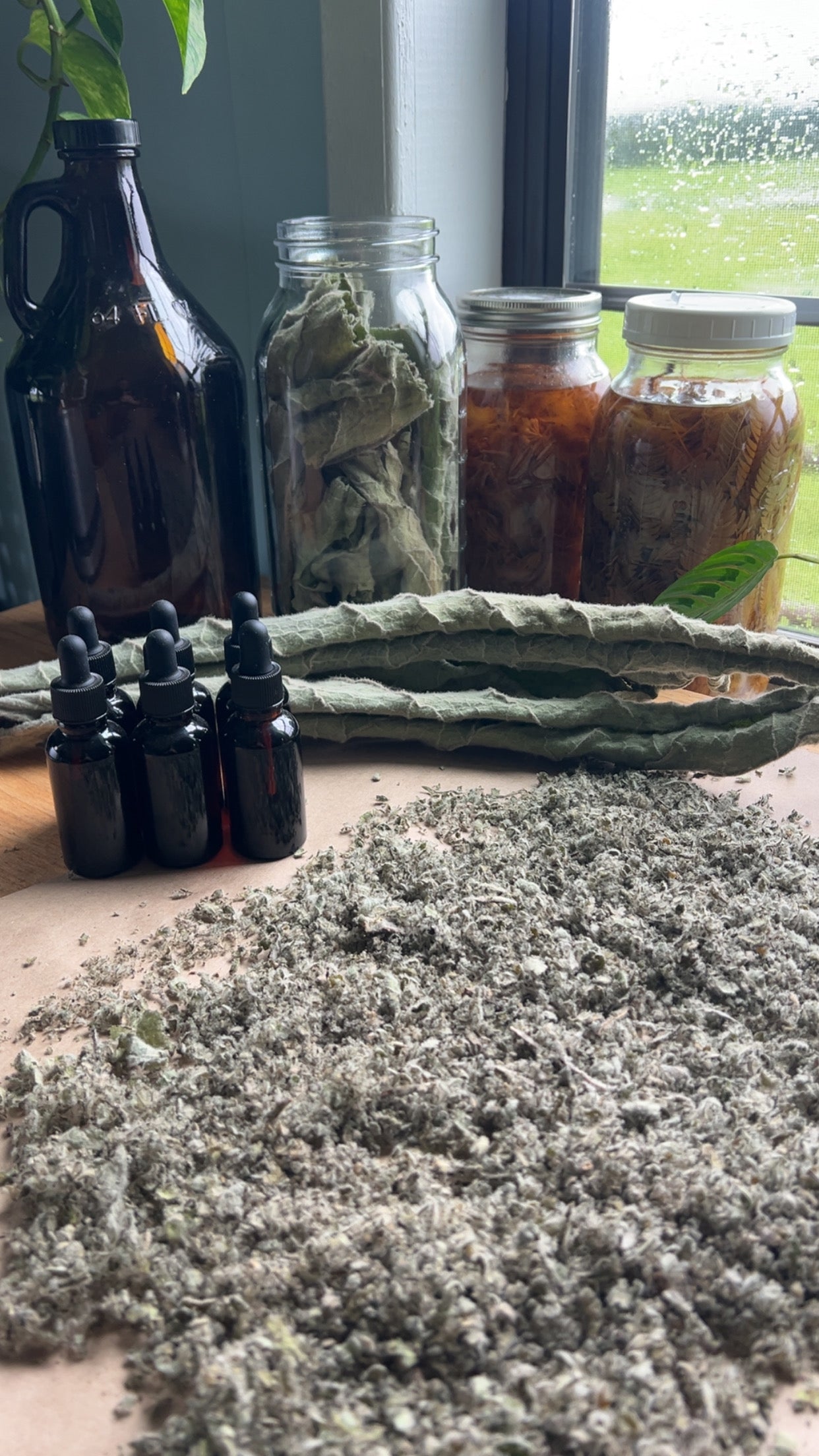 Mullein Extract (Lung health & cleanse)
